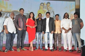 Dictator Audio Success Meet Photos
